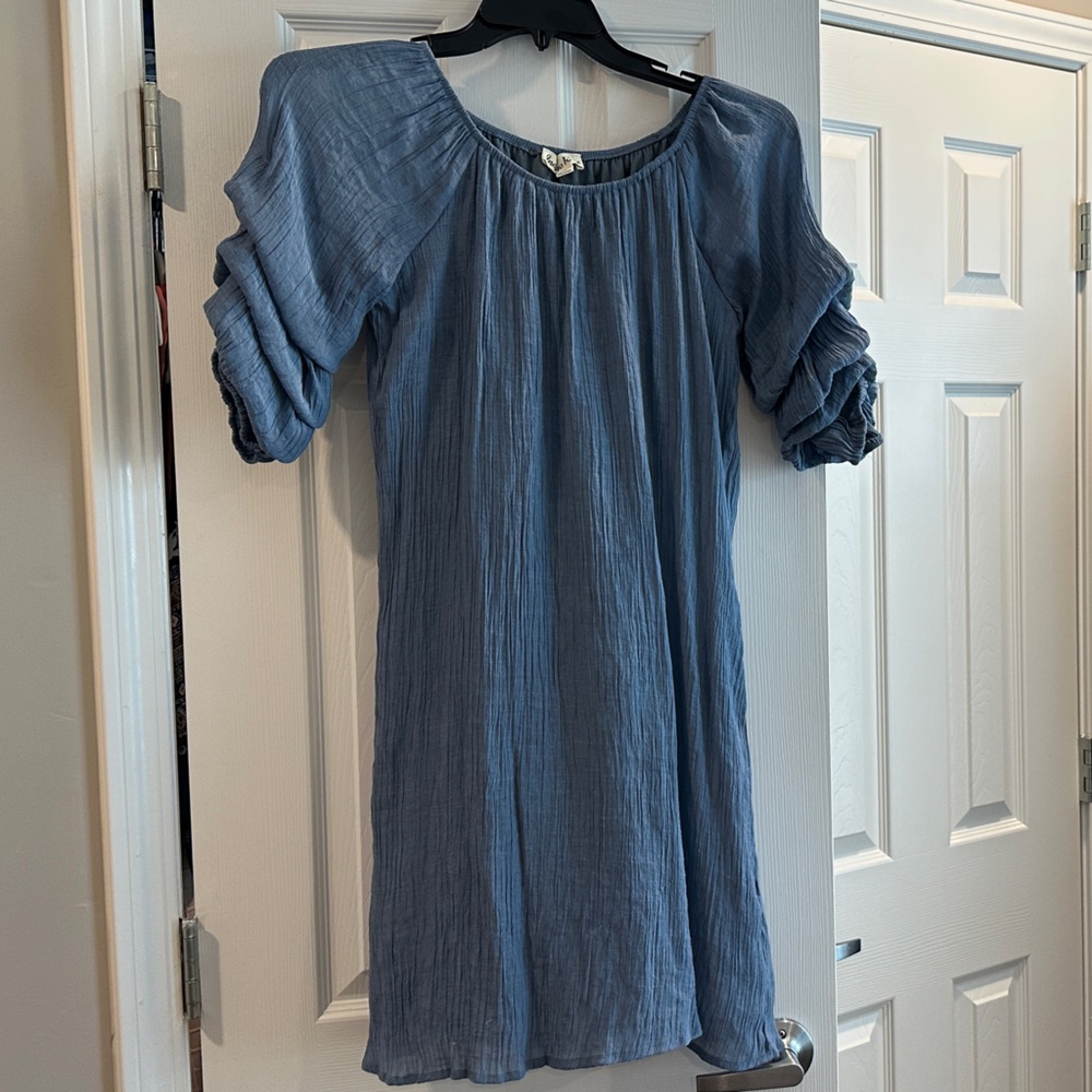 Chic Blue Puff Sleeve Dress